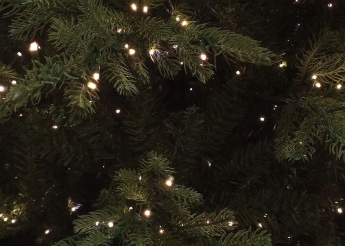 noel
