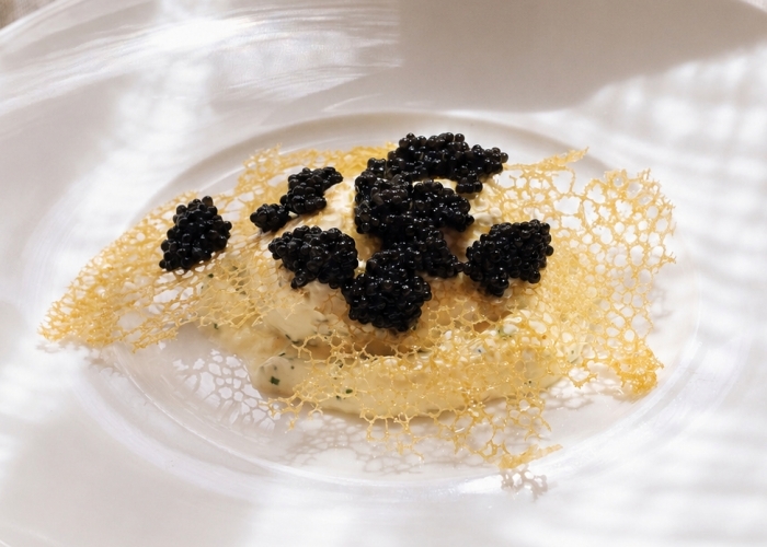 pollen